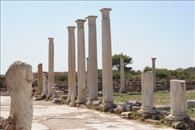 Salamis